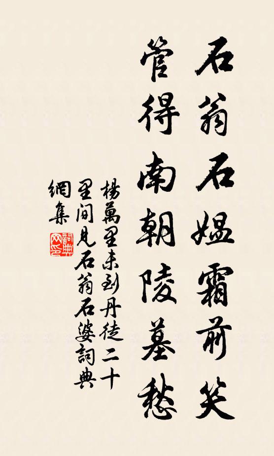 杨万里石翁石媪霜前笑，管得南朝陵墓愁书法作品欣赏