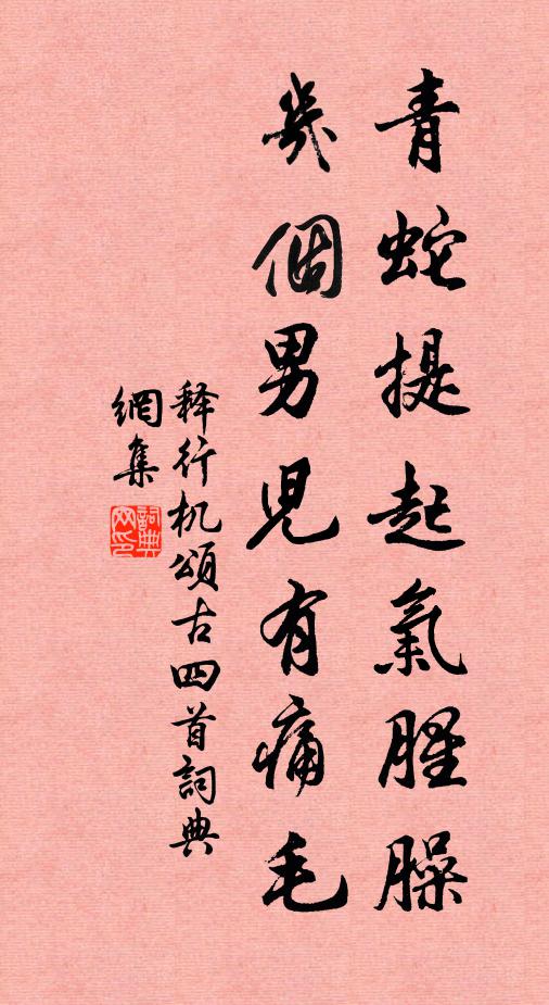 释行机青蛇提起气腥臊，几个男儿有痛毛书法作品欣赏