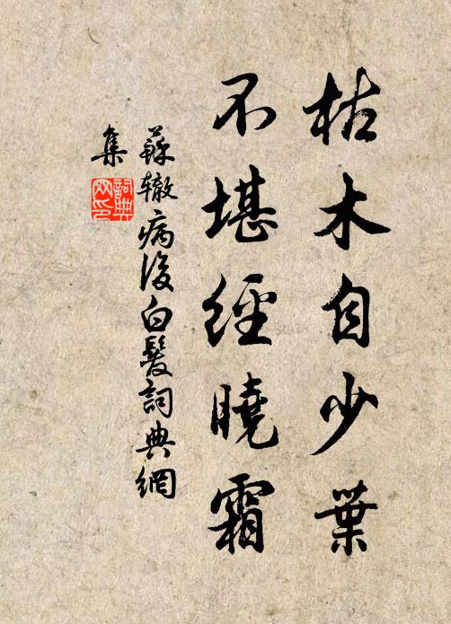 苏辙枯木自少叶，不堪经晓霜书法作品欣赏