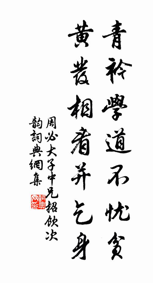 周必大青衿学道不忧贫，黄发相看并乞身书法作品欣赏