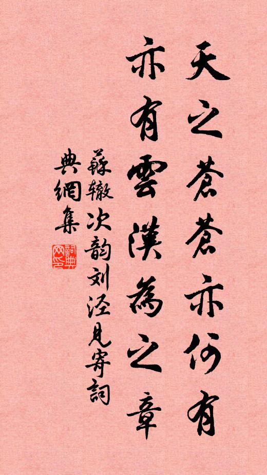 苏辙天之苍苍亦何有，亦有云汉为之章书法作品欣赏