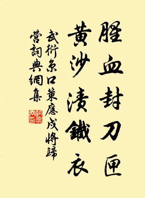 武衍腥血封刀匣，黄沙渍铁衣书法作品欣赏