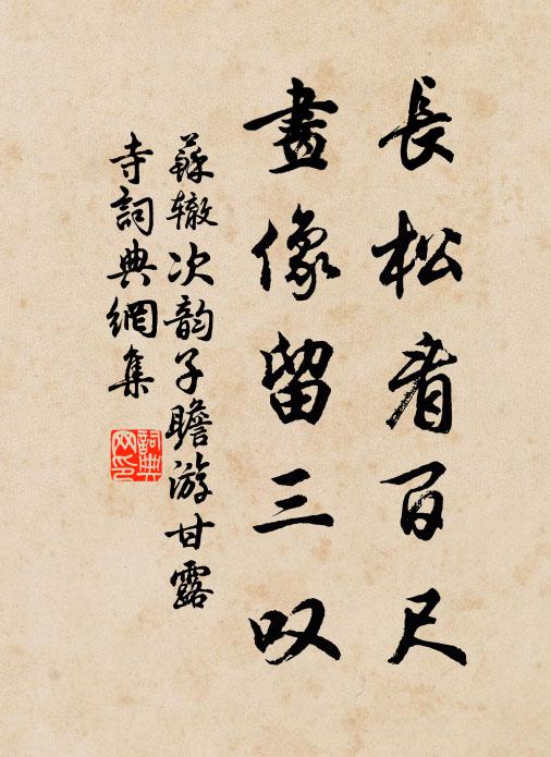 苏辙长松看百尺，画像留三叹书法作品欣赏