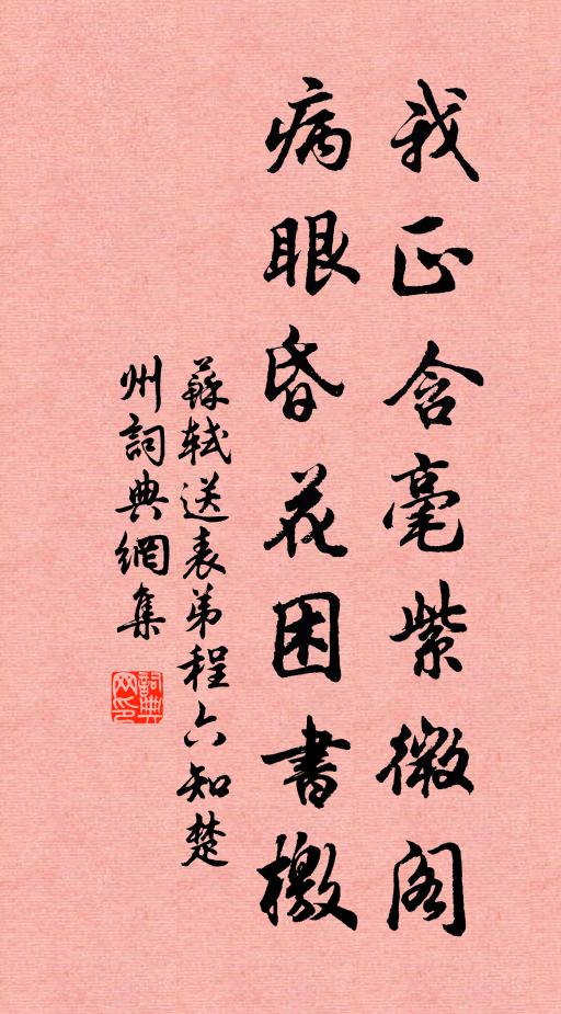 苏轼我正含毫紫微阁，病眼昏花困书檄书法作品欣赏