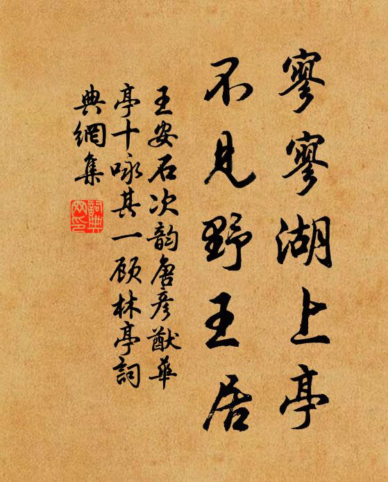 王安石寥寥湖上亭，不见野王居书法作品欣赏