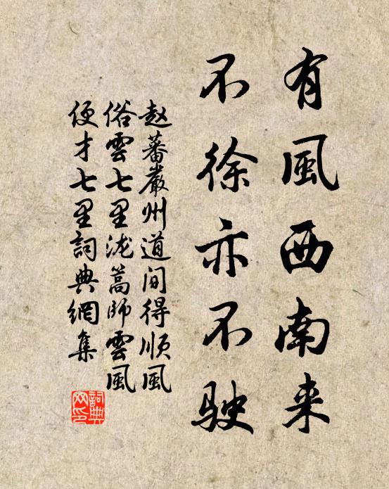 赵蕃有风西南来，不徐亦不驶书法作品欣赏