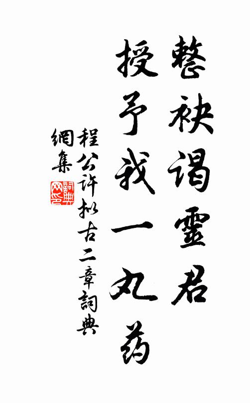 程公许整袂谒灵君，授予我一丸药书法作品欣赏