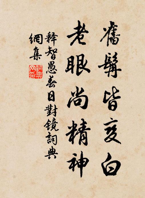 释智愚旧髯皆变白，老眼尚精神书法作品欣赏