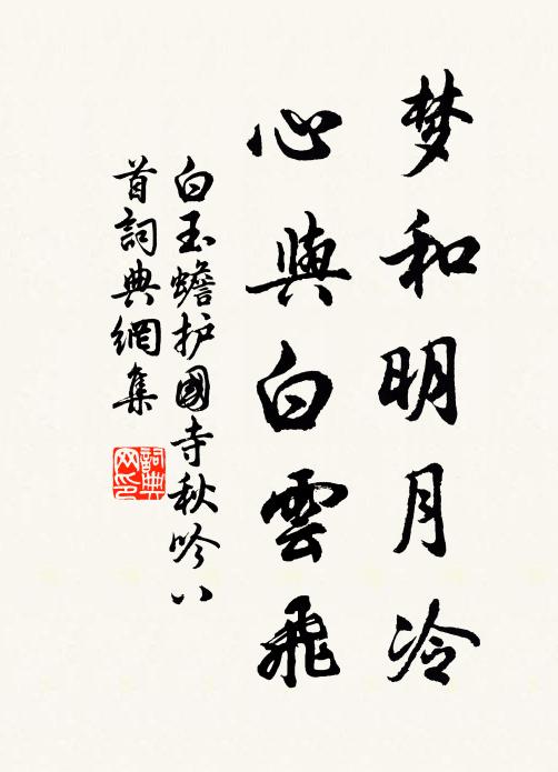 白玉蟾梦和明月冷，心与白云飞书法作品欣赏