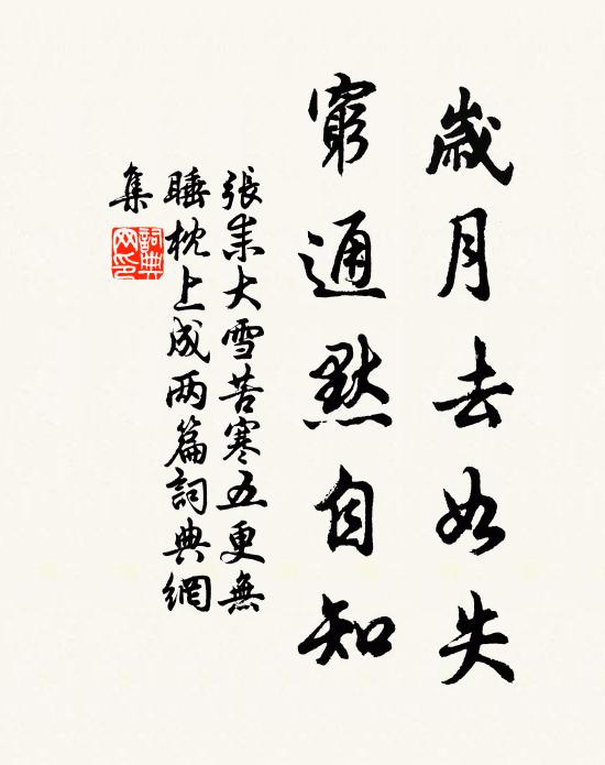 张耒岁月去如失，穷通默自知书法作品欣赏