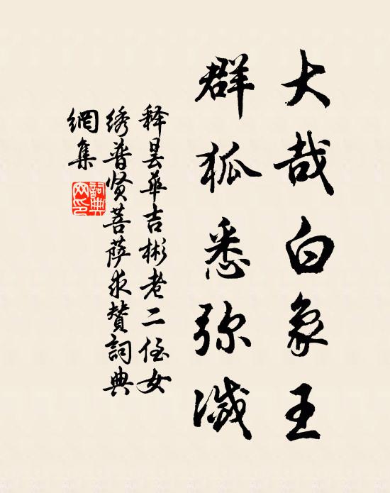 释昙华大哉白象王，群狐悉弥灭书法作品欣赏