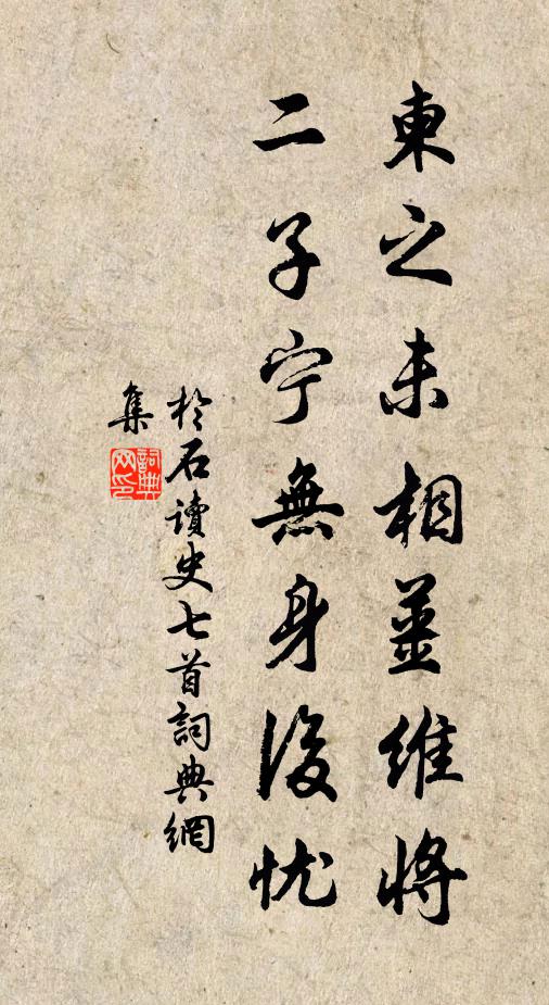 于石柬之未相姜维将，二子宁无身后忧书法作品欣赏