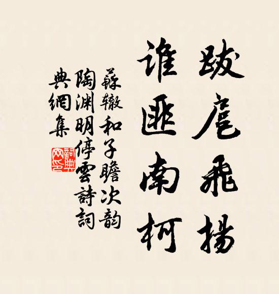 苏辙跋扈飞扬，谁匪南柯书法作品欣赏