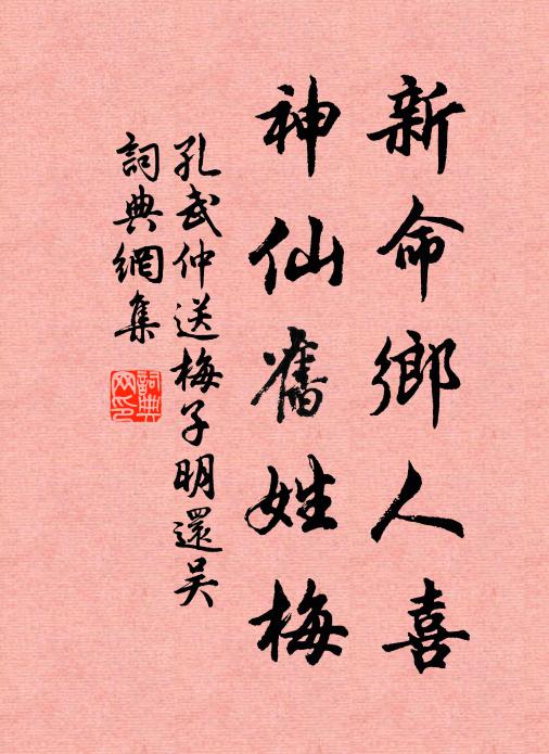 孔武仲新命乡人喜，神仙旧姓梅书法作品欣赏