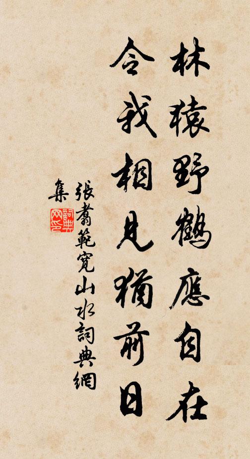 张翥林猿野鹤应自在，令我相见犹前日书法作品欣赏