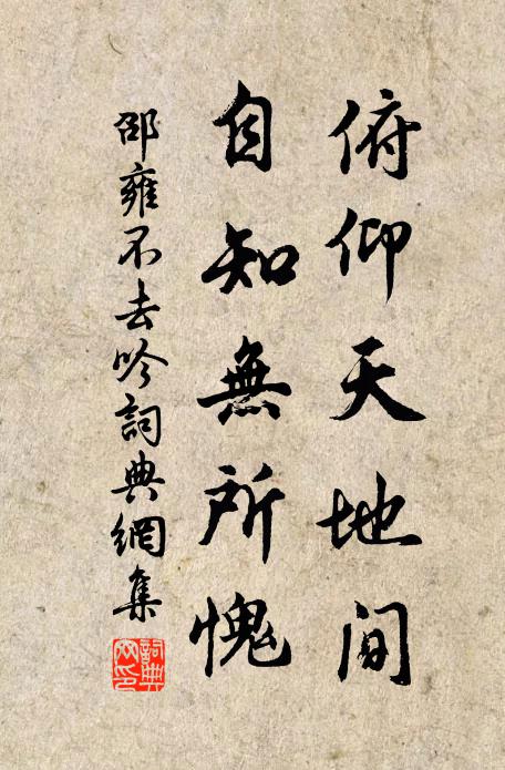 邵雍俯仰天地间，自知无所愧书法作品欣赏