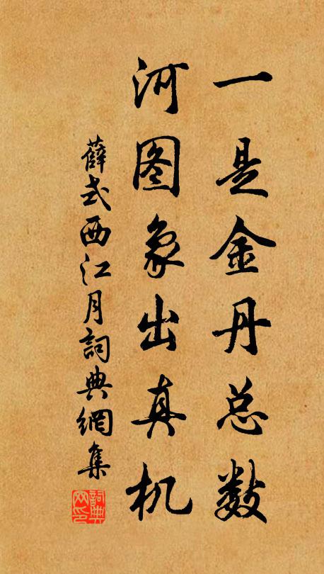薛式一是金丹总数，河图象出真机书法作品欣赏