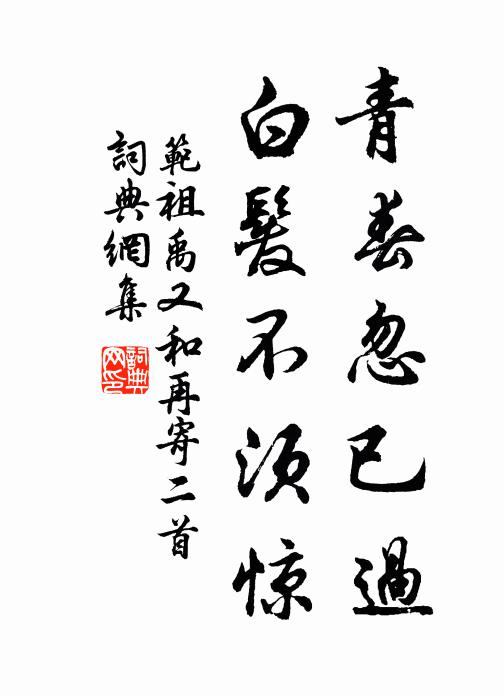 范祖禹青春忽已过，白发不须惊书法作品欣赏