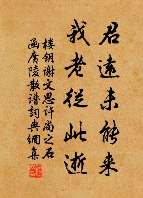 楼钥君远未能来,我老从此逝书法作品欣赏