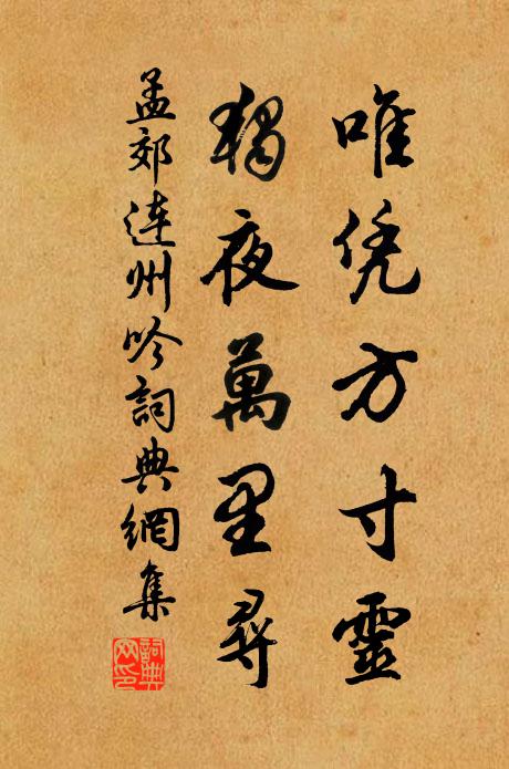 孟郊唯凭方寸灵，独夜万里寻书法作品欣赏