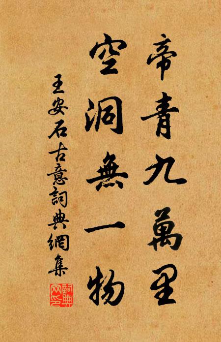 王安石帝青九万里，空洞无一物书法作品欣赏