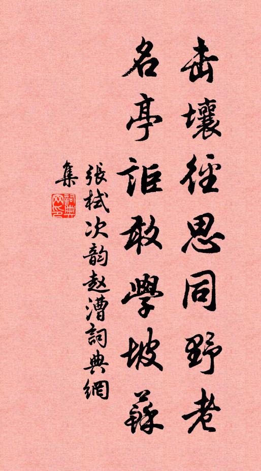 张栻击壤径思同野老，名亭讵敢学坡苏书法作品欣赏
