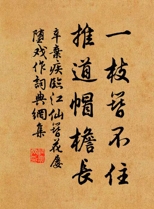 辛弃疾一枝簪不住，推道帽檐长书法作品欣赏