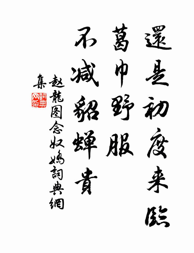 赵龙图还是初度来临，葛巾野服，不减貂蝉贵书法作品欣赏