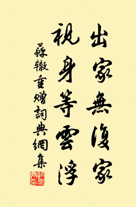 苏辙出家无复家，视身等云浮书法作品欣赏