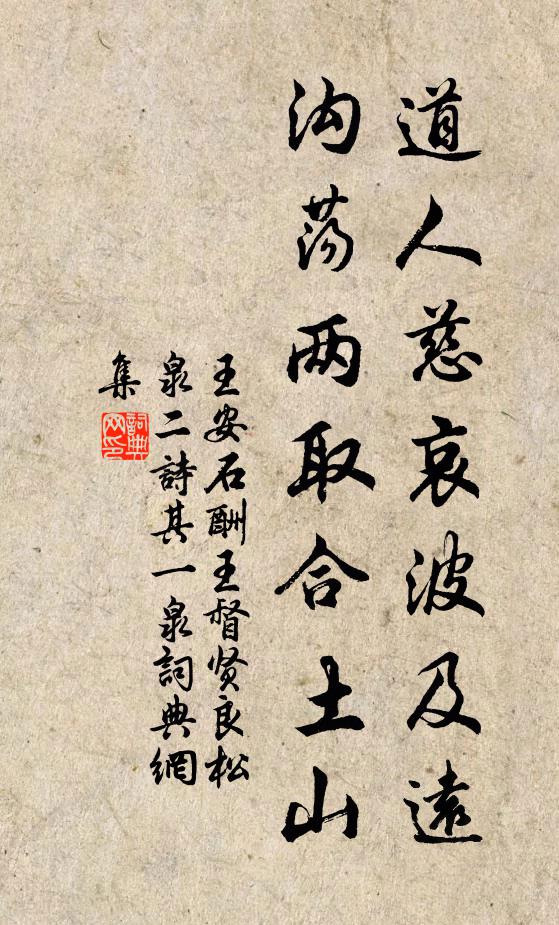 王安石道人慈哀波及远，沟荡两取合土山书法作品欣赏