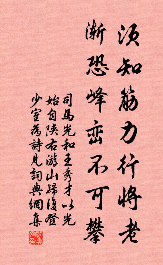 司马光须知筋力行将老，渐恐峰峦不可攀书法作品欣赏