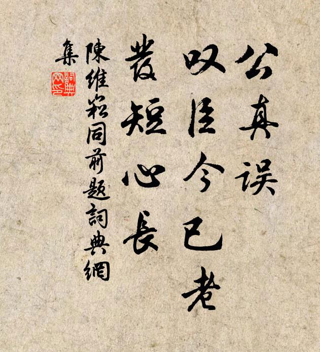 陈维崧公真误，叹臣今已老，发短心长书法作品欣赏