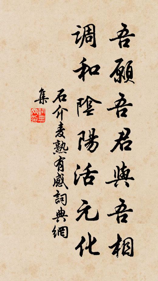 石介吾愿吾君与吾相，调和阴阳活元化书法作品欣赏