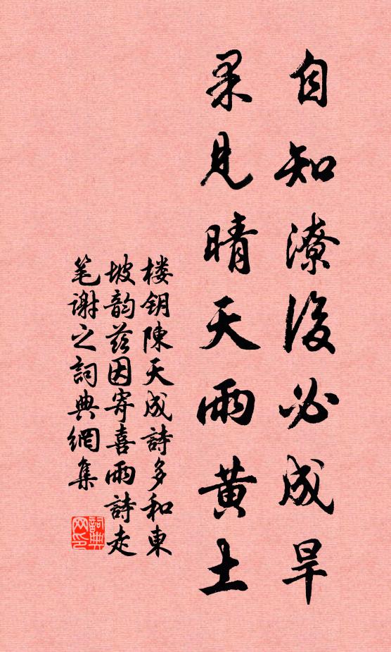 楼钥自知潦后必成旱，果见晴天雨黄土书法作品欣赏