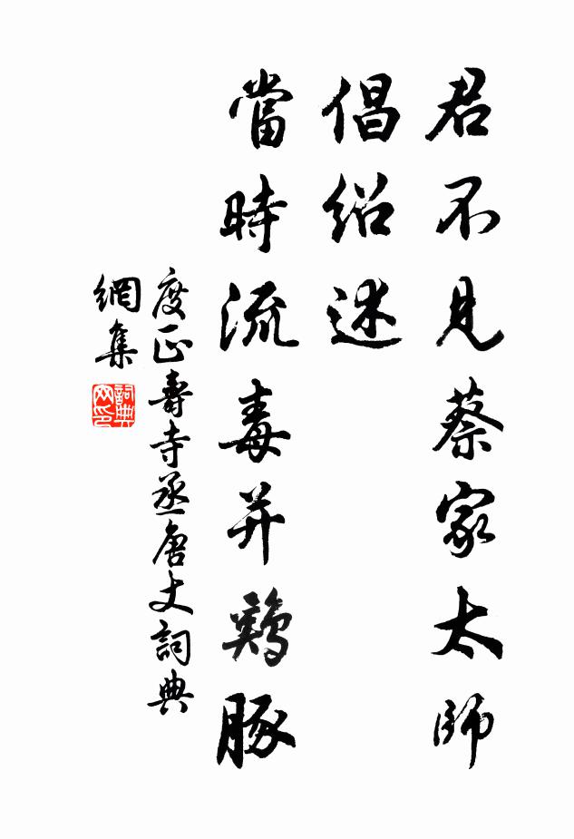 度正君不见蔡家太师倡绍述，当时流毒并鸡豚书法作品欣赏