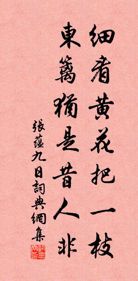 张蕴细看黄花把一枝，东篱犹是昔人非书法作品欣赏