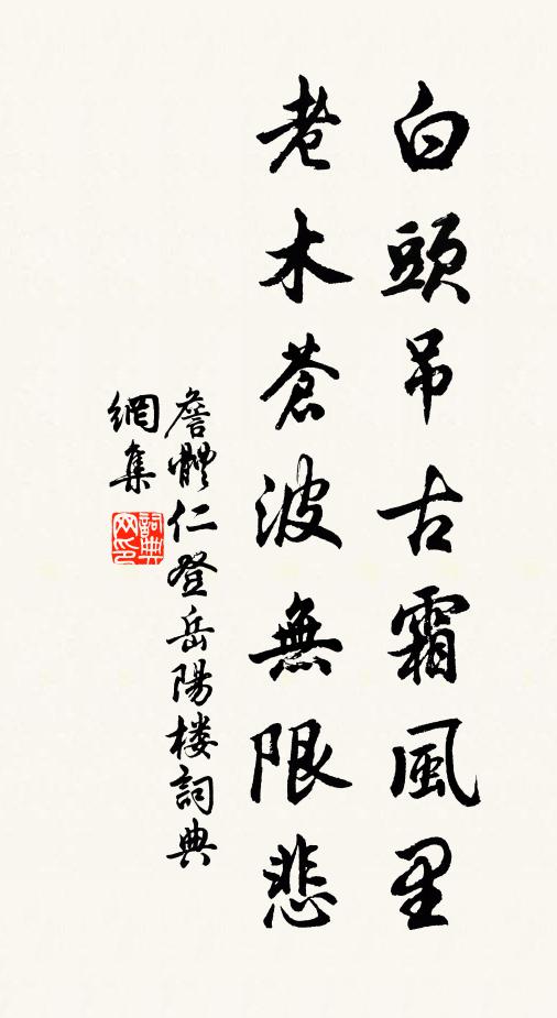 詹体仁白头吊古霜风里，老木苍波无限悲书法作品欣赏