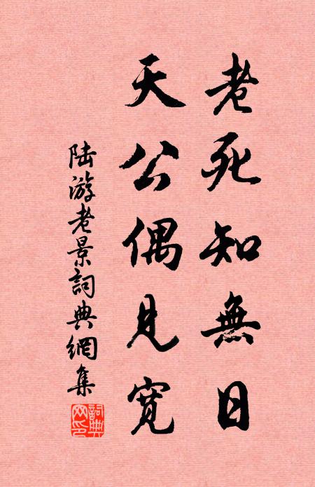 陆游老死知无日，天公偶见宽书法作品欣赏