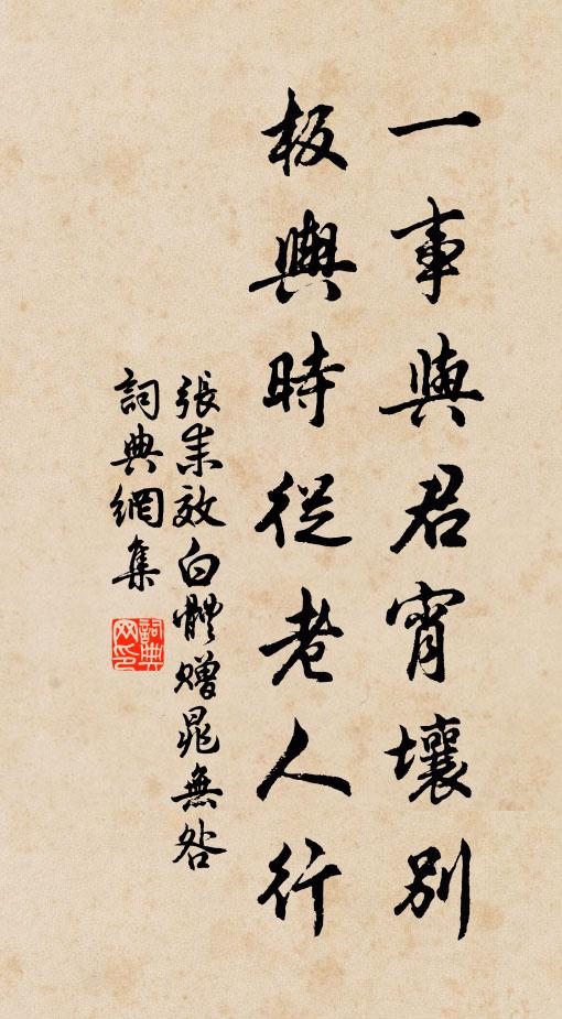 张耒一事与君宵壤别，板舆时从老人行书法作品欣赏