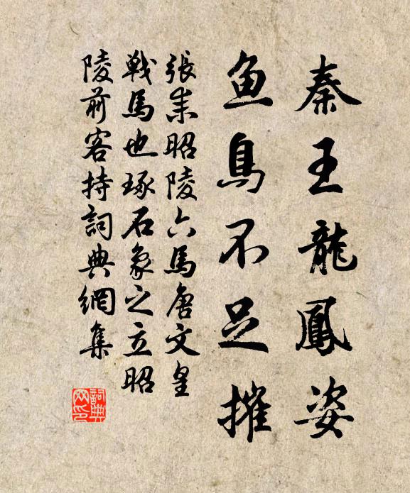 张耒秦王龙凤姿，鱼鸟不足摧书法作品欣赏