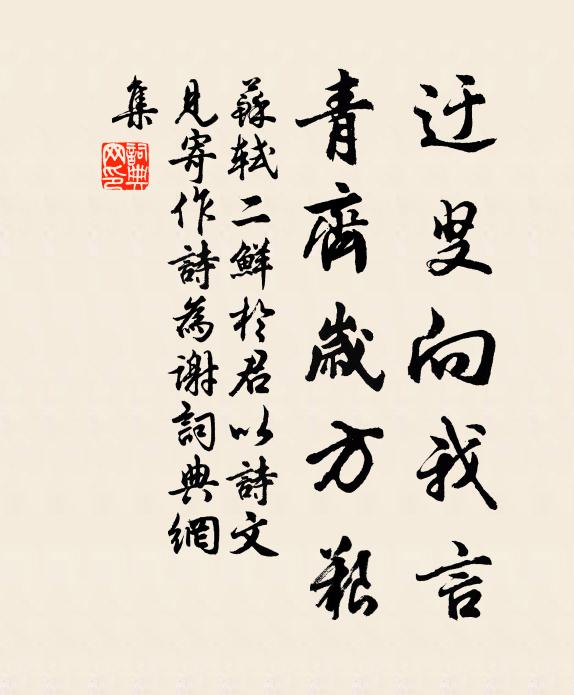 苏轼迂叟向我言，青齐岁方艰书法作品欣赏