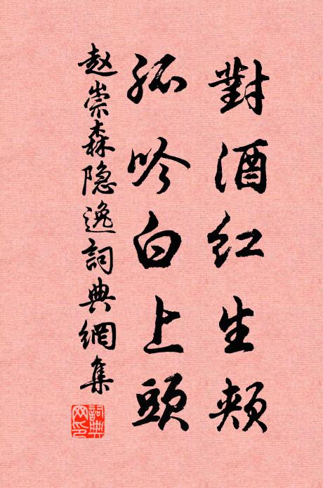 赵崇森对酒红生颊，孤吟白上头书法作品欣赏