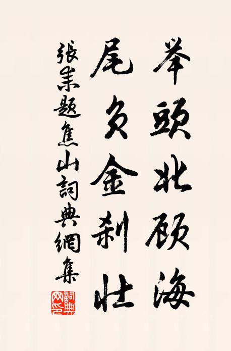 张耒举头北顾海，尾负金刹壮书法作品欣赏