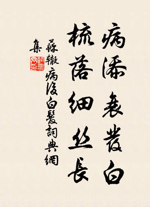 苏辙病添衰发白，梳落细丝长书法作品欣赏