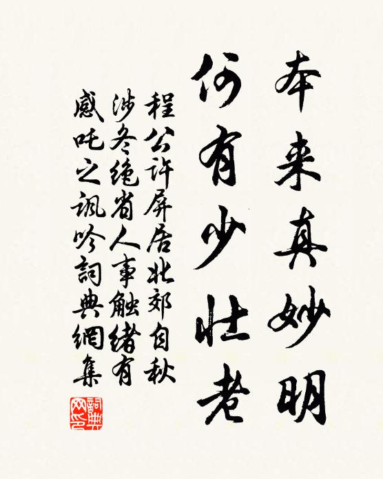 程公许本来真妙明，何有少壮老书法作品欣赏
