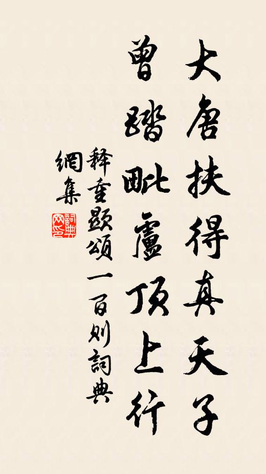 释重顯大唐扶得真天子，曾踏毗卢顶上行书法作品欣赏
