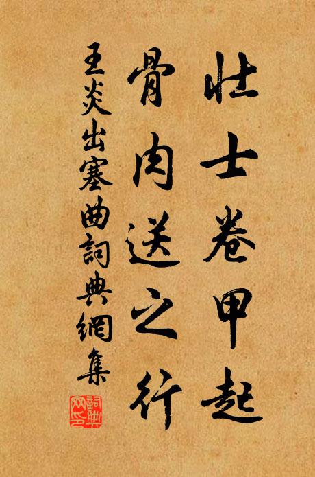 王炎壮士卷甲起，骨肉送之行书法作品欣赏