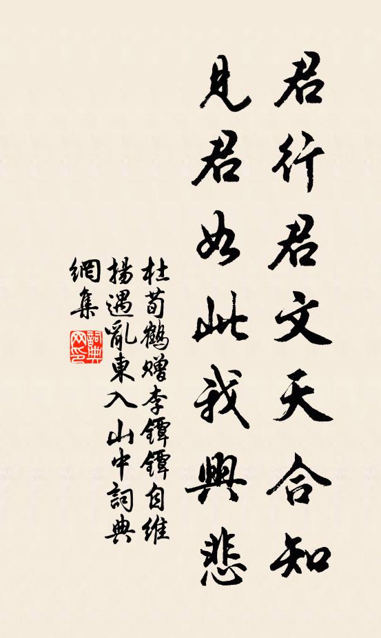杜荀鹤君行君文天合知，见君如此我兴悲书法作品欣赏