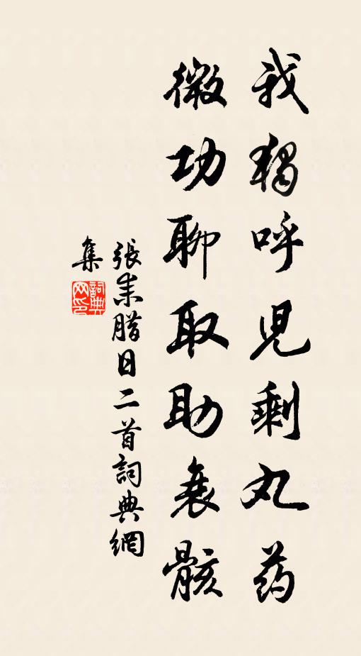 张耒我独呼儿剩丸药，微功聊取助衰骸书法作品欣赏