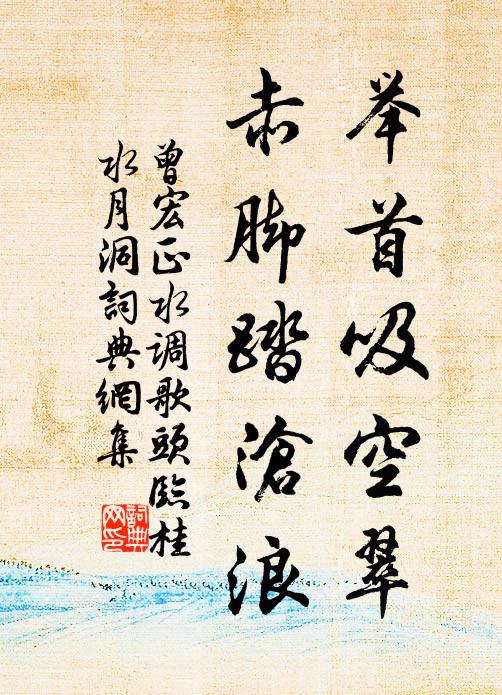 曾宏正举首吸空翠，赤脚踏沧浪书法作品欣赏